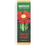 Merkur Vánoční hvězda – Zboží Dáma