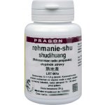 Sinecura Rehmánie Shu Shudihuang extrakt 20 g – Hledejceny.cz