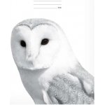 MFP Paper školní sešit A4 444 – Sleviste.cz