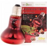 ReptiZoo Infračervená žárovka 50 W – Zboží Dáma