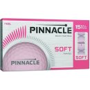 Pinnacle Soft