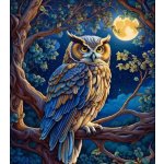 Norimpex Diamantový obrázek malování 30 x 40 cm Sova na stromě v noci – Zbozi.Blesk.cz