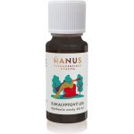 Hanus Esence Eukalyptový les Dýchací cesty 20 ml – Hledejceny.cz
