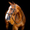 Uzdečka pro koně Horseware Uzdečka Micklem 2 Diamante Competition černá