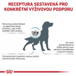 Royal Canin Veterinary Health Nutrition Dog Hypoallergenic 14 kg – Zboží Dáma