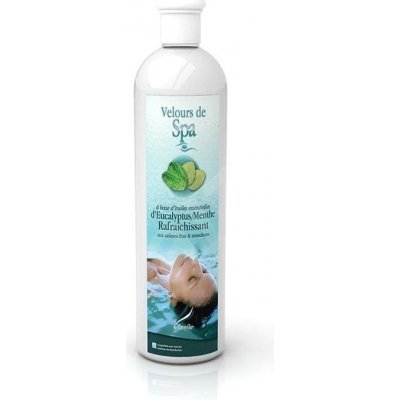 Camylle Vonné esence SPA Eukalyptus/Máta 250 ml – Zboží Dáma