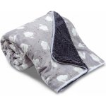 Sleep-well Dětská deka OVEČKA s ovečkou světle šedá antracit – Sleviste.cz