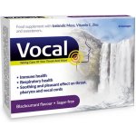 Rpm Pharma Vocal Pastilky bez cukru s příchutí Černý ryb.24ks – Sleviste.cz