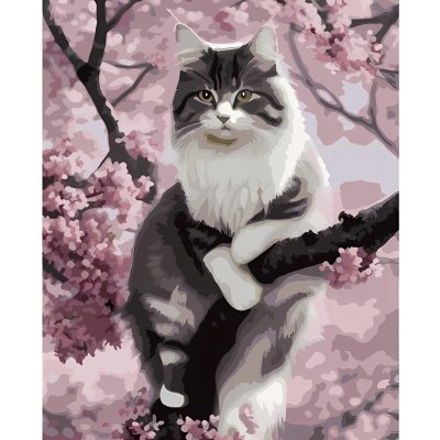 Maaleo 22783 Malování podle čísel Kočka 40 x 50 cm – Hledejceny.cz