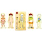 Small Foot Puzzle Anatomie Tim – Zbozi.Blesk.cz