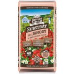 Forestina Hoštický pro jahody 40 l – Hledejceny.cz