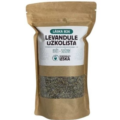 Dokonalá Láska B26 Levandule úzkolistá 100 g – Hledejceny.cz