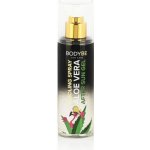 Bodybe 100% Aloe Vera Chladivý gel ve spreji 200 ml – Zboží Dáma