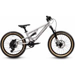 Early Rider Hellion X20 Jr 2024