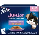 Felix So gut wie es aussieht v želé Junior různé druhy 12 x 85 g