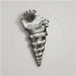 OF MICE & MEN Restoring Force - Full Circle LP – Zboží Mobilmania