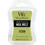 WoodWick vonný vosk do aroma lampy Kapradina 22,7 g – Zboží Dáma