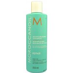 Moroccanoil Moisture Repair Shampoo 250 ml – Zboží Mobilmania