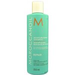 Moroccanoil Moisture Repair Shampoo 250 ml – Zbozi.Blesk.cz