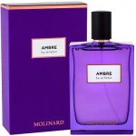 Molinard Les Elements Collection Ambre parfémovaná voda unisex 75 ml – Hledejceny.cz