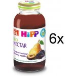 HiPP BIO Švestkový nektar 6 x 200 ml – Zboží Dáma