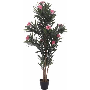 Oleandr, růžový, 150 cm