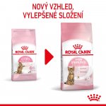 Royal Canin Kitten Sterilised 3,5 kg – Hledejceny.cz