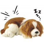 Dýchající štěňátko Cavalier King Charles Spaniel realistická – Sleviste.cz