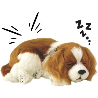 Dýchající štěňátko Cavalier King Charles Spaniel realistická – Sleviste.cz
