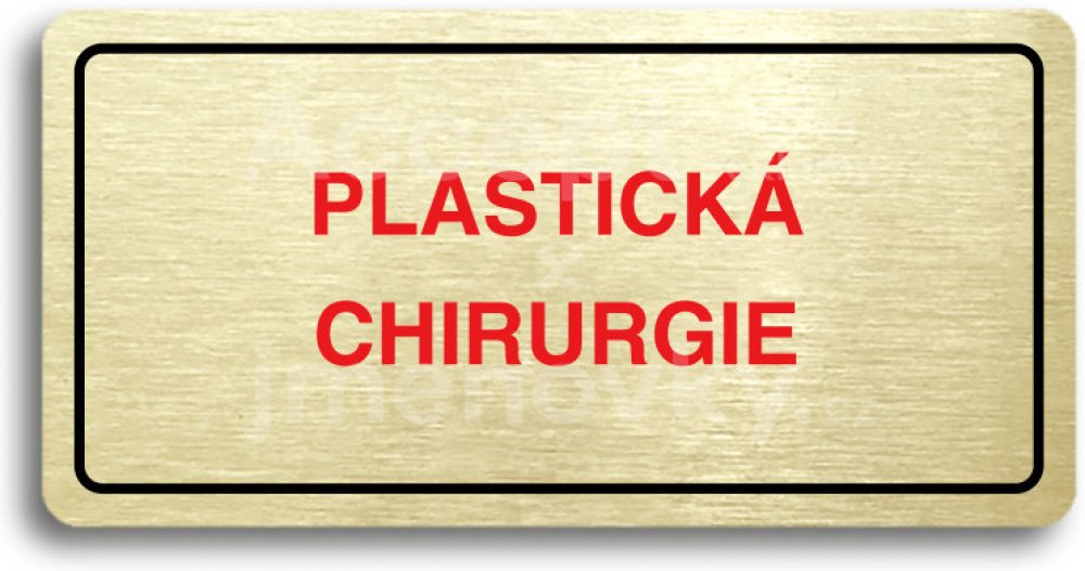 ACCEPT Piktogram PLASTICKÁ CHIRURGIE - zlatá tabulka - barevný tisk – Zboží  Dáma
