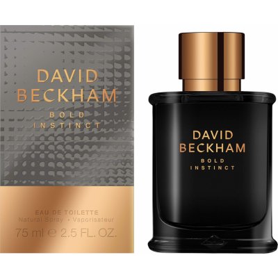 David Beckham Bold Instinct toaletní voda pánská 75 ml – Hledejceny.cz