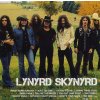 Hudba Lynyrd Skynyrd - Icon CD