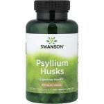 Swanson Psyllium slupky 610 mg 100 kapslí – Hledejceny.cz