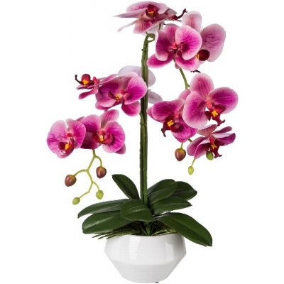 Orchidej růžová v květináči, 52cm