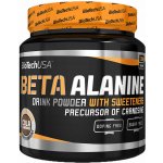BioTech USA Beta Alanine 300 g – Sleviste.cz