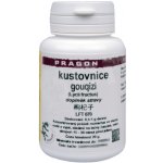 Pragon Kustovnice Goji gouqizi prášek 20 g – Hledejceny.cz