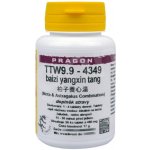 Pragon TTW9.9 baizi yangxin tang 36 tablet – Hledejceny.cz