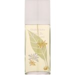 Elizabeth Arden Green Tea Honeysuckle toaletní voda dámská 100 ml – Hledejceny.cz