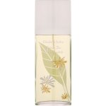 Elizabeth Arden Green Tea Honeysuckle toaletní voda dámská 100 ml – Hledejceny.cz