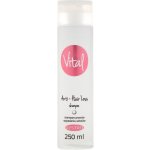 Stapiz Vital Anti-Hair Loss Shampoo 250 ml – Zbozi.Blesk.cz