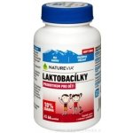 Natureví Laktobacilky Kids 66 ks – Hledejceny.cz