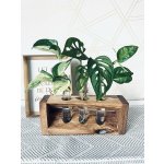 BotaneryLab Stanice pro rozmnožování rostlinných řízků TRINITY ořech - 3 zkumavky WoodenBotanery – Hledejceny.cz