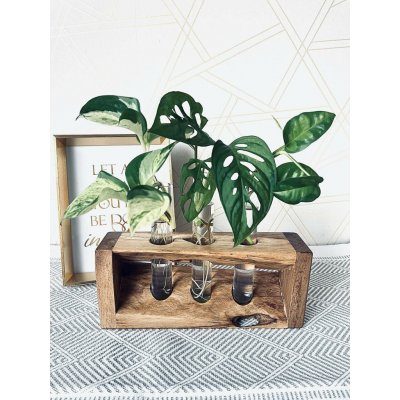 BotaneryLab Stanice pro rozmnožování rostlinných řízků TRINITY ořech - 3 zkumavky WoodenBotanery – Hledejceny.cz