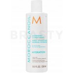 Moroccanoil Hydrating Conditioner 250 ml – Zboží Dáma