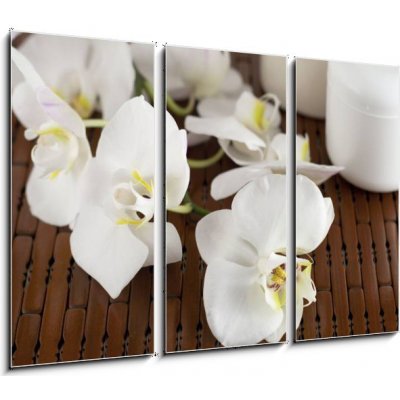 Obraz 3D třídílný - 105 x 70 cm - Face cream and white orchid on a bamboo mate Krém na obličej a bílá orchidej na bambusové kamarádce – Zboží Mobilmania