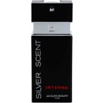 Jacques Bogart Silver Scent Intense toaletní voda pánská 100 ml – Hledejceny.cz