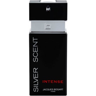 Jacques Bogart Silver Scent Intense toaletní voda pánská 100 ml – Zbozi.Blesk.cz