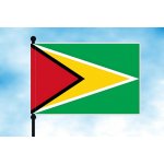 LIBEA, s.r.o. Guyana stolní vlaječka Uchycení: Dutinka (pro nasunutí) – Hledejceny.cz