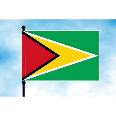 LIBEA, s.r.o. Guyana stolní vlaječka Uchycení: Dutinka (pro nasunutí) – Hledejceny.cz