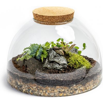 Gardners Skleněná dóza Aurinia s korkovým špuntem, 31x20 cm - osázené vlhkomilně – Hledejceny.cz